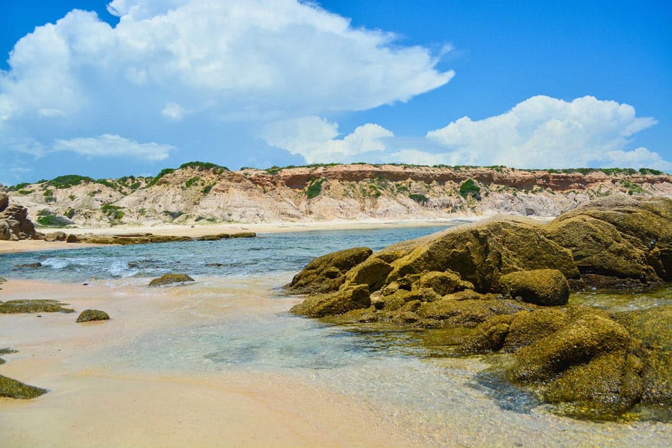 Cabo Pulmo, Mexico: Where it’s wonderfully wild!