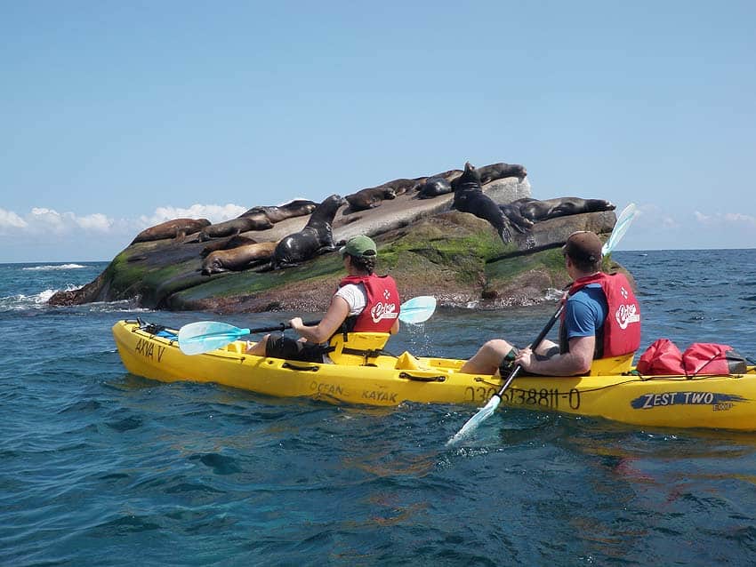Sea kayaking in Cabo Pulmo