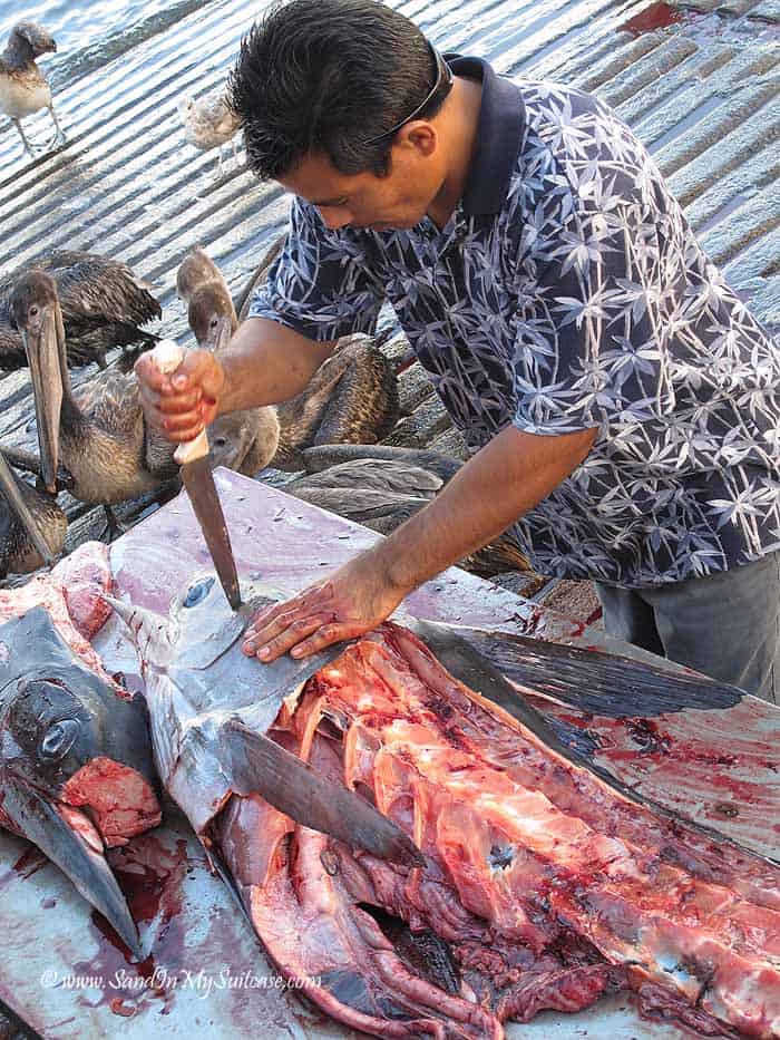 Filleting fish - a bloody scene