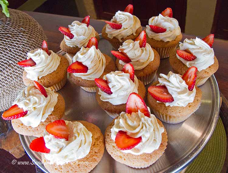 Cupcakes for dessert at lunch at Simbambili Game Lodge