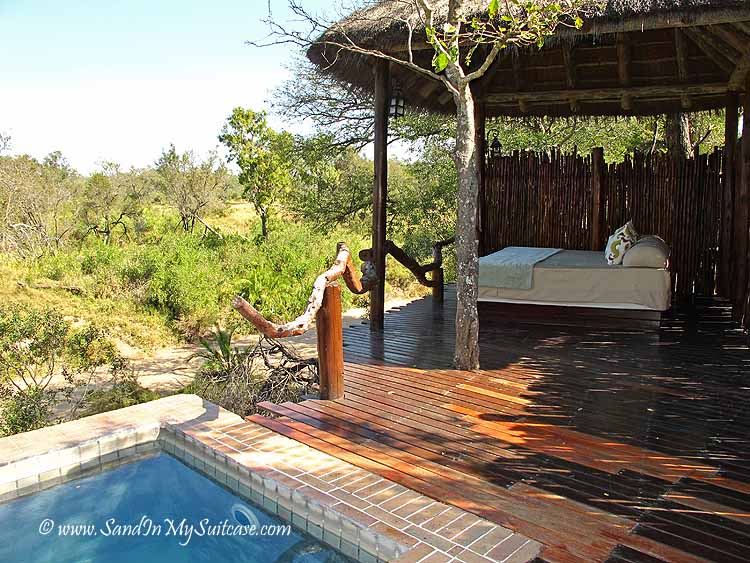 lions on safari - luxury lodges