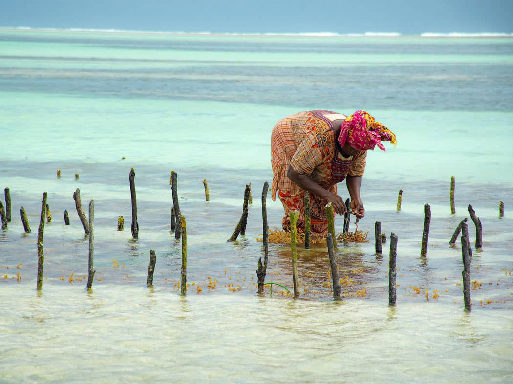 Things to do in Zanzibar