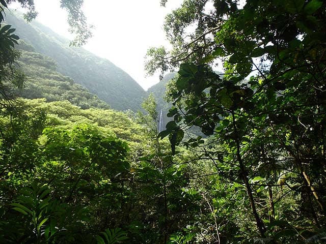 un cruise hawaii