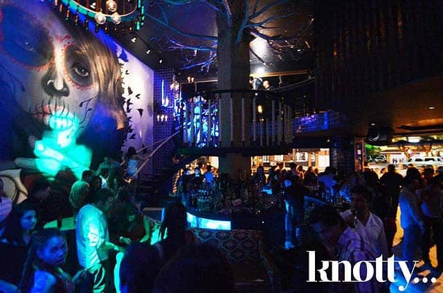Why visit Los Cabos - photo Knotty Social Club