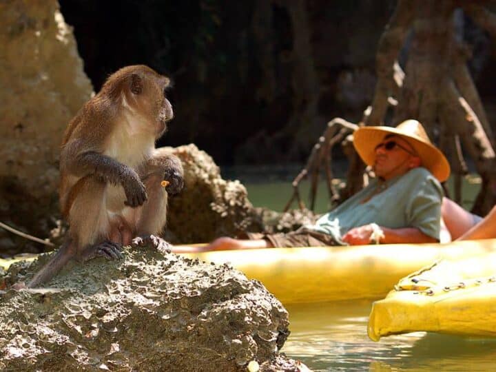 Sea canoeing Phang Nga Bay’s hidden lagoons