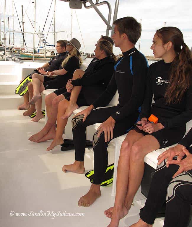 swim with whale sharks in La Paz - boat trip