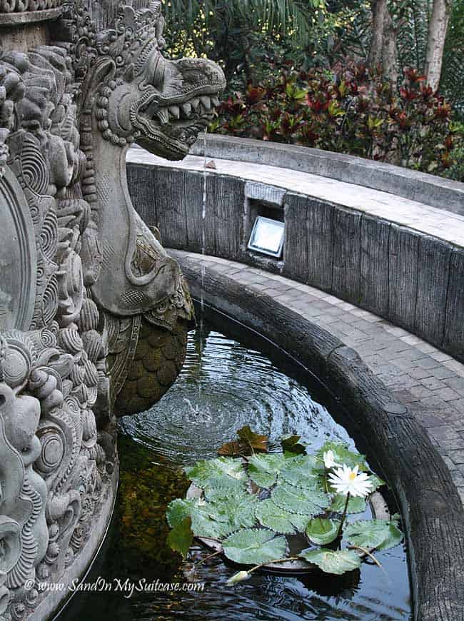Ayung Resort Ubud - lotus pond