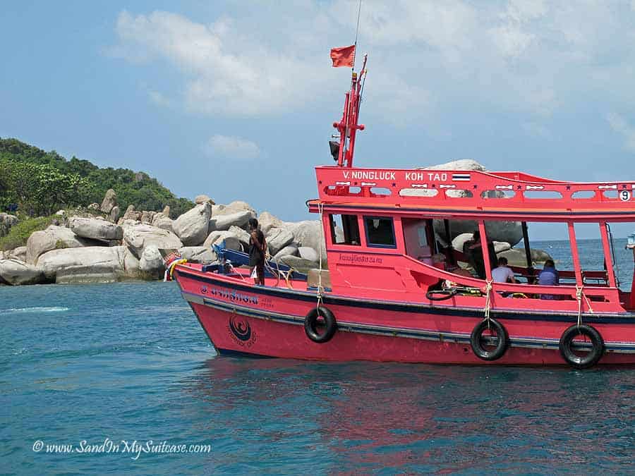 koh tao snorkeling