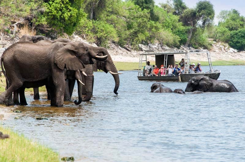 river cruising - Zambezi Queen