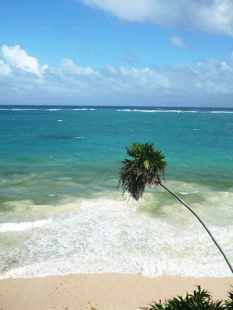 mayan ruins of tulum - beach