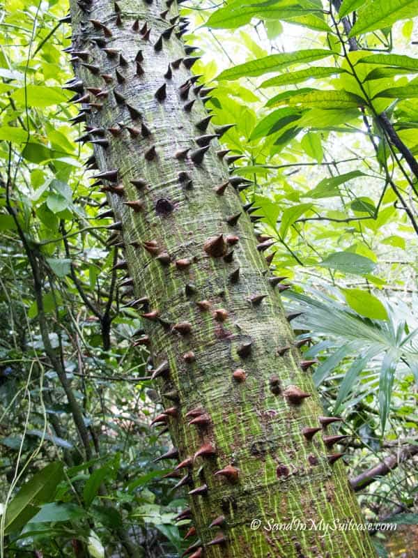 things to do in riviera maya - visit Sian Ka'an