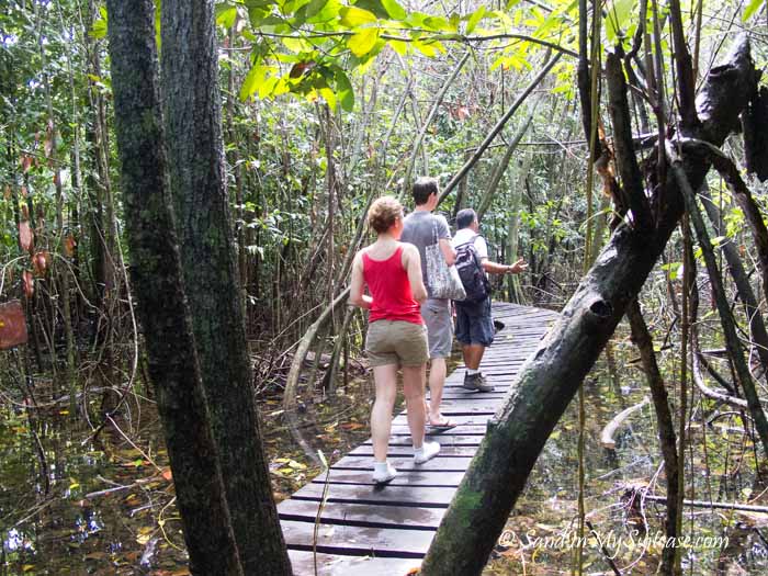 things to do in riviera maya - sian ka'an