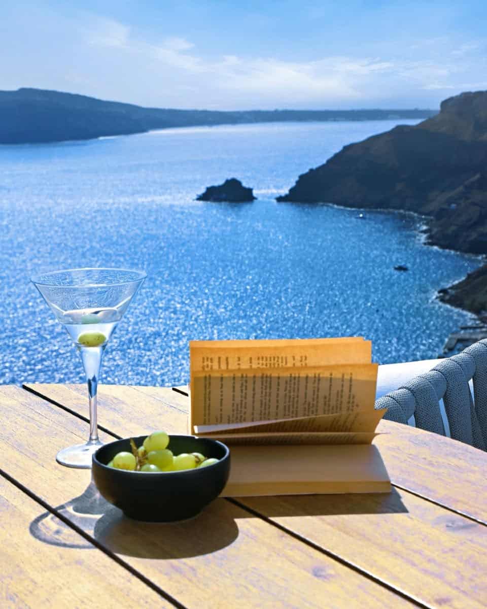 Book and grapes with a sea view