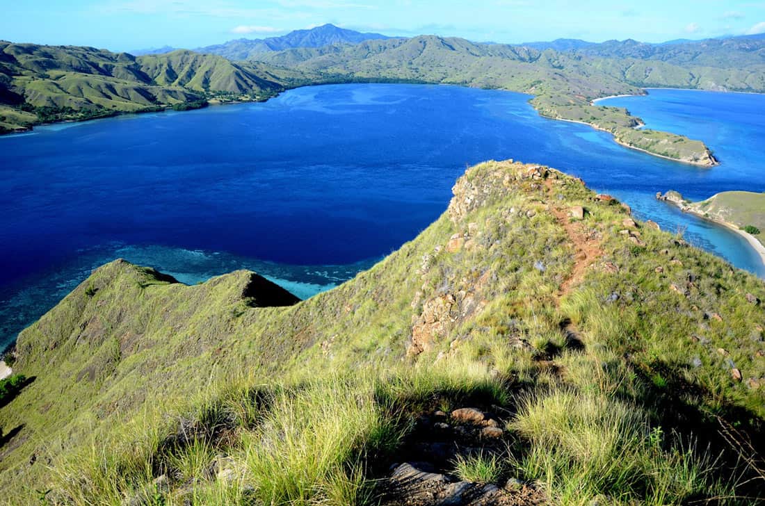 Green hills of Komodo Island surrounded by blue sea