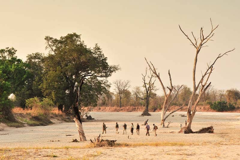 walking safari in Zambia