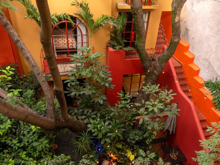 Red Tree House, Mexico City, Review This B&B Can't Be Beat