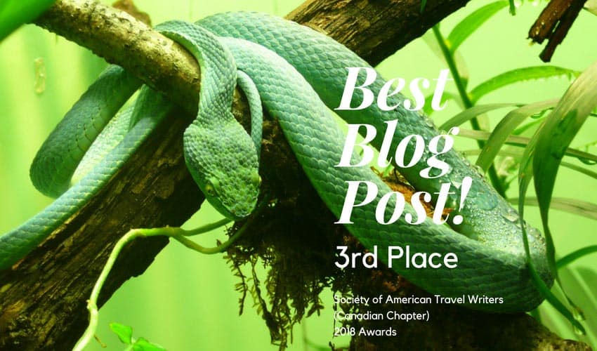 Best Blog Post