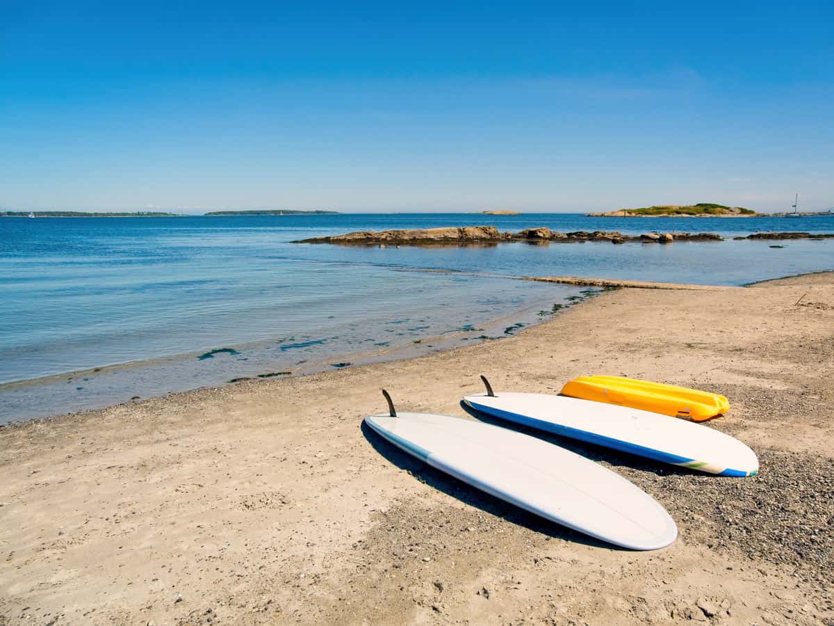 SUP boards on the sand at Willows Beach