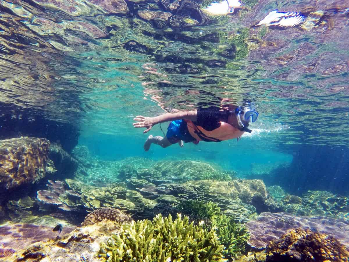 It's wonderful to escape to unspoiled Cabo Pulmo to snorkel its vibrant coral reef!