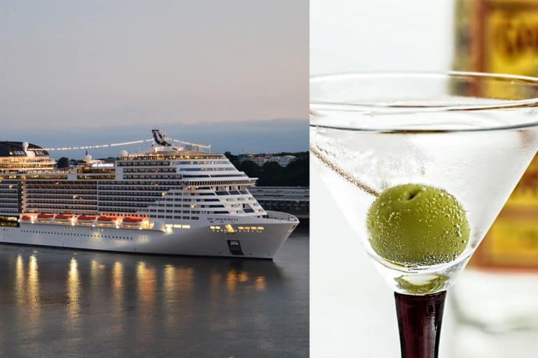 cruise gratuities