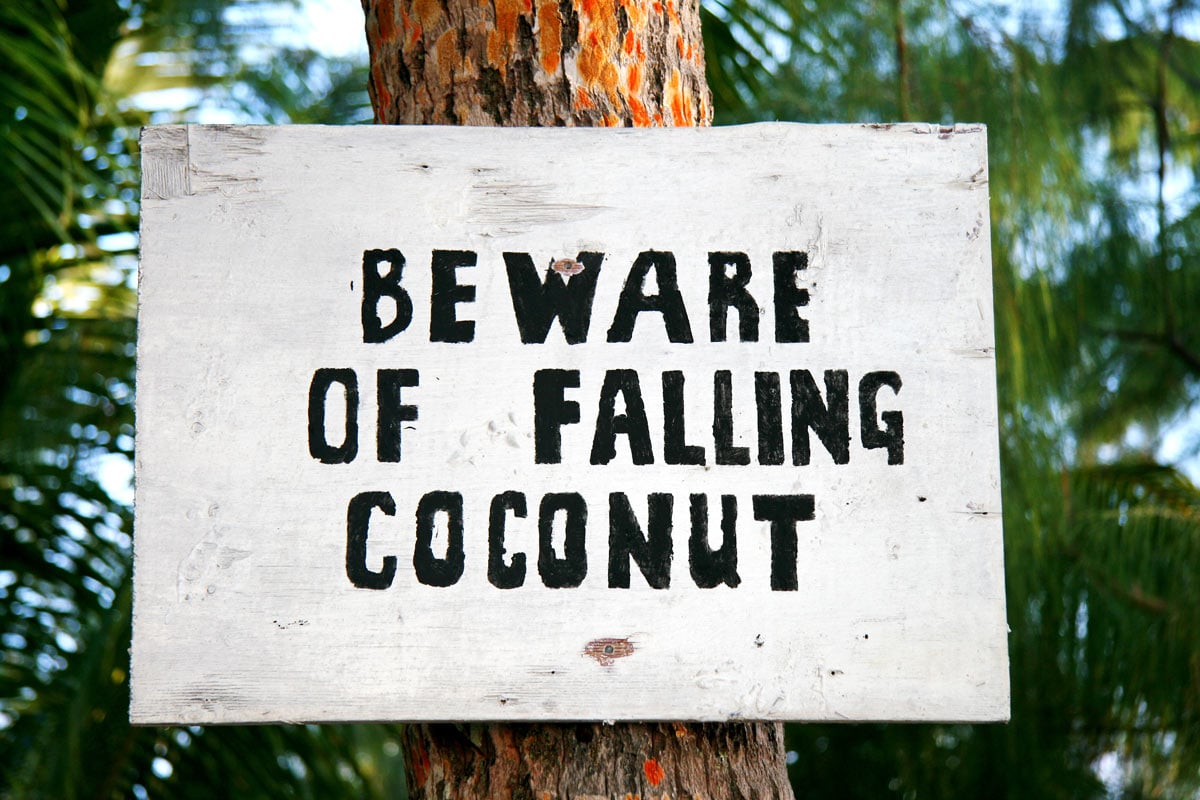 Sign on Fijian island saying "Beware of Falling Coconut"