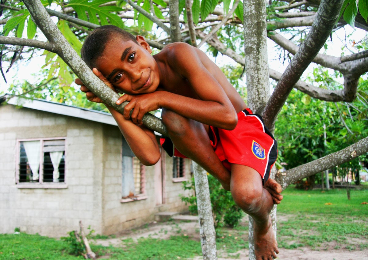 Fijian boy wearing red shorts up in a tree