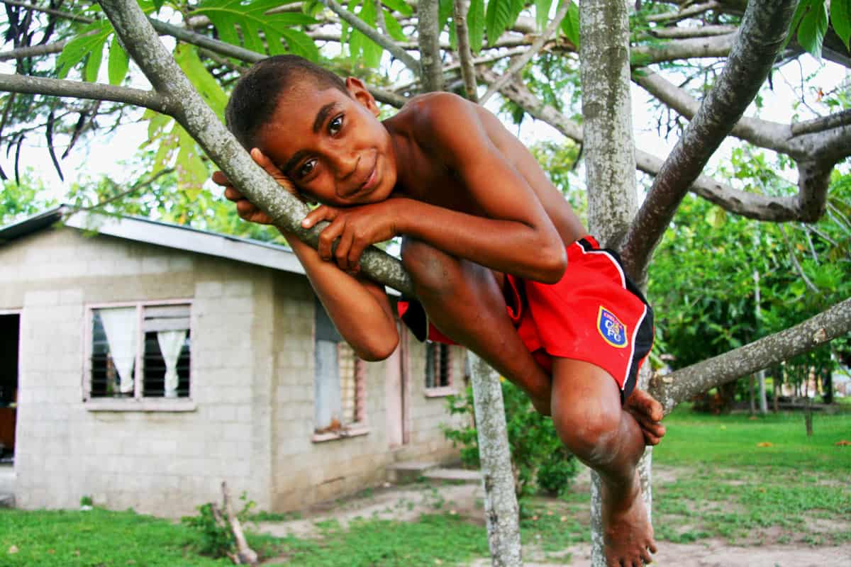 Little Fijian boy in a tree