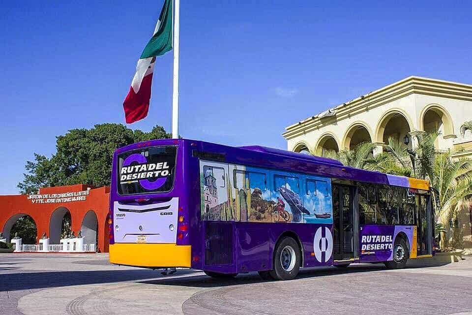 Purple Ruta del Desierto public bus in Los Cabos, Mexico
