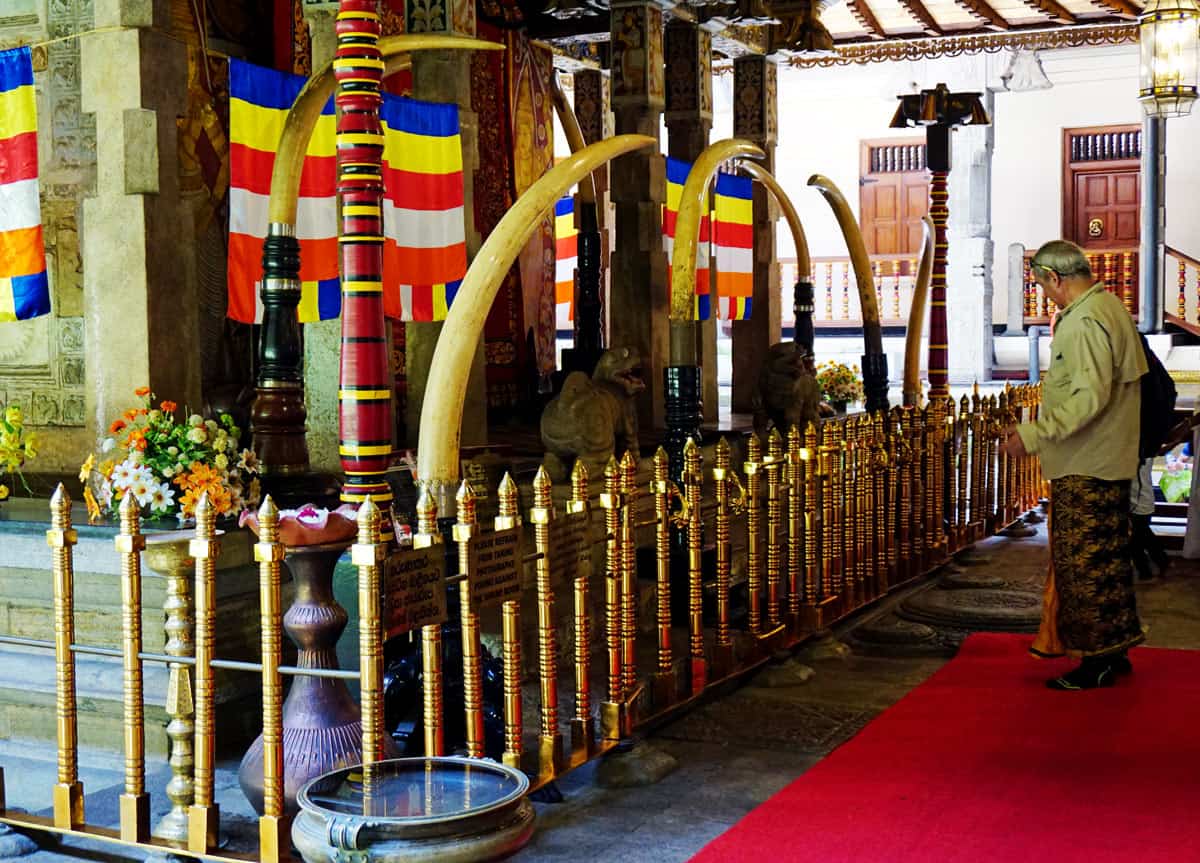 A man stands beside the shrine chamber at Kandy’s Temple of the Tooth, with large elephant tusks, Buddhist flags, flower offerings and gold railings.