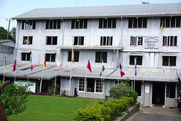 Kandy Travel Guide 9 Incredible Places to Visit in Kandy, Sri Lanka