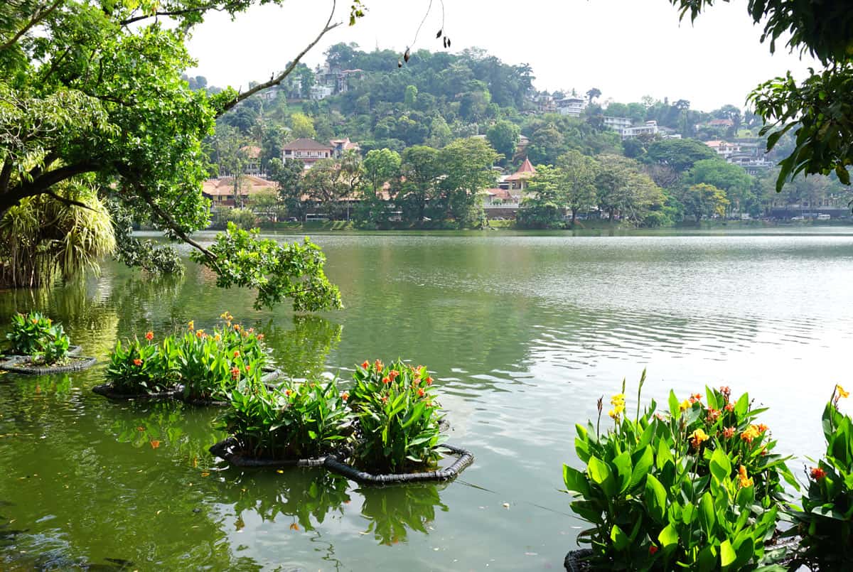 View across Kandy Lake in Sri Lanka, framed by leafy trees and colorful floating flower gardens, with green hills and houses in the background
