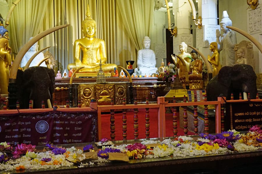 A large golden Buddha is surrounded by white and gold Buddha statues, elephant sculptures and colorful flower offerings inside Kandy’s Temple of the Tooth.