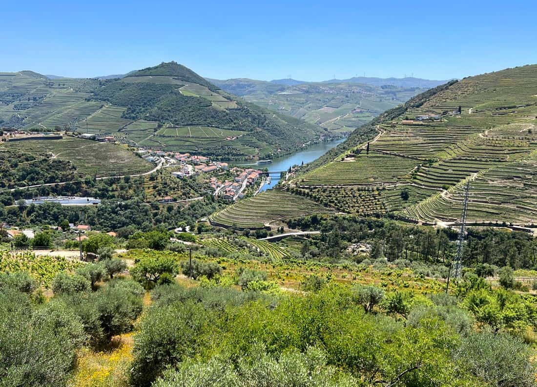 Terraced vineyards in the Douro Valley