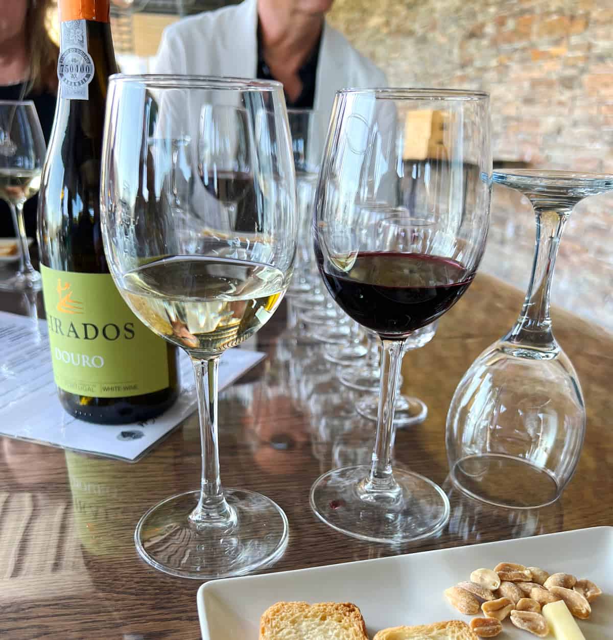 Glasses of port wine for tasting