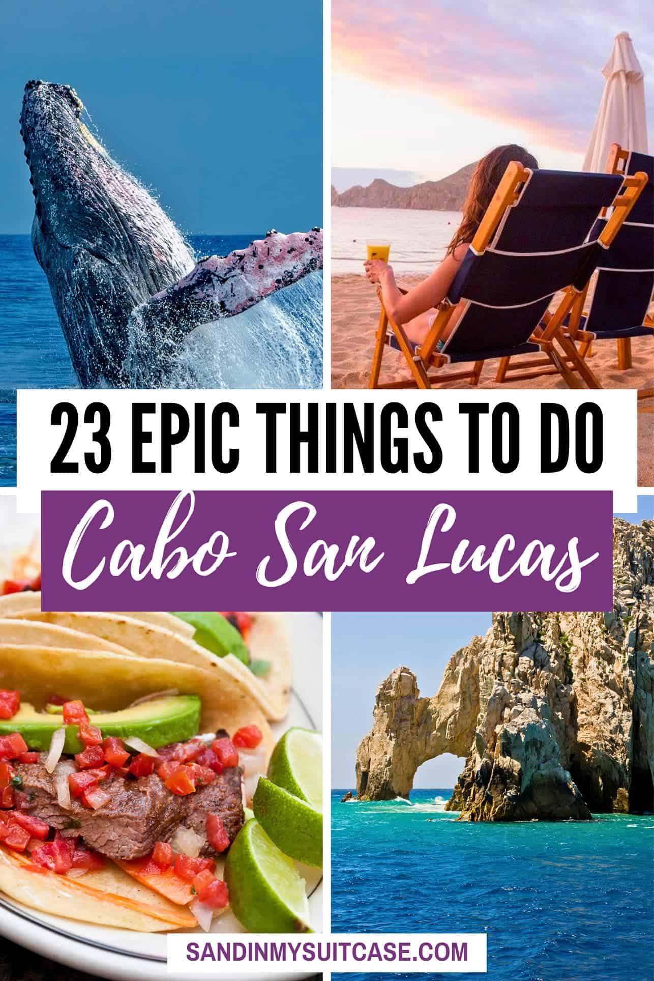 best things to do in cabo san lucas