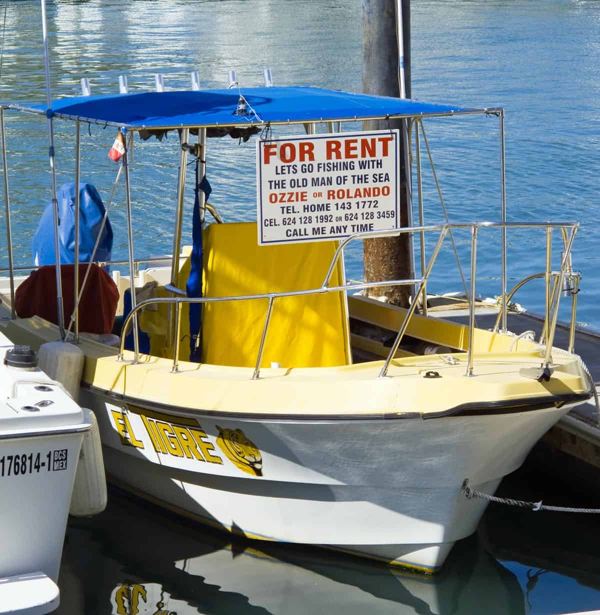 Small yellow-and-white fishing charter boat with a blue canopy and โFor Rentโ sign docked at the Cabo San Lucas Marina