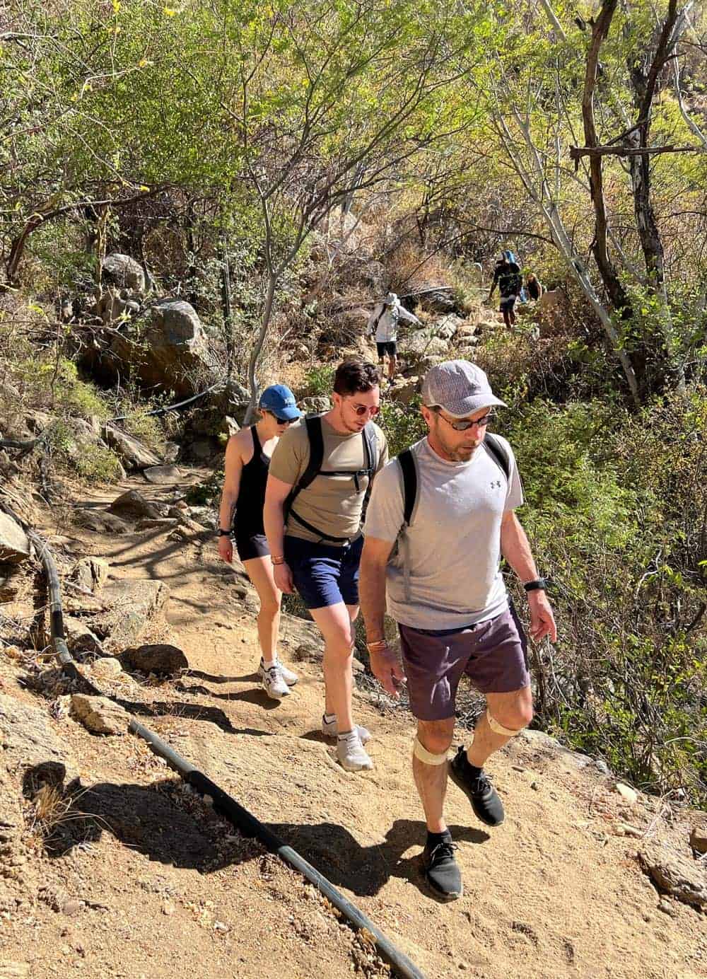 Hikers making their way along a rocky tree-lined trail through Fox Canyon in the Sierra de la Laguna mountains near Cabo.