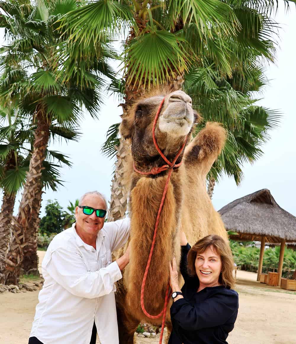 Couple posing with a camel in Cabo