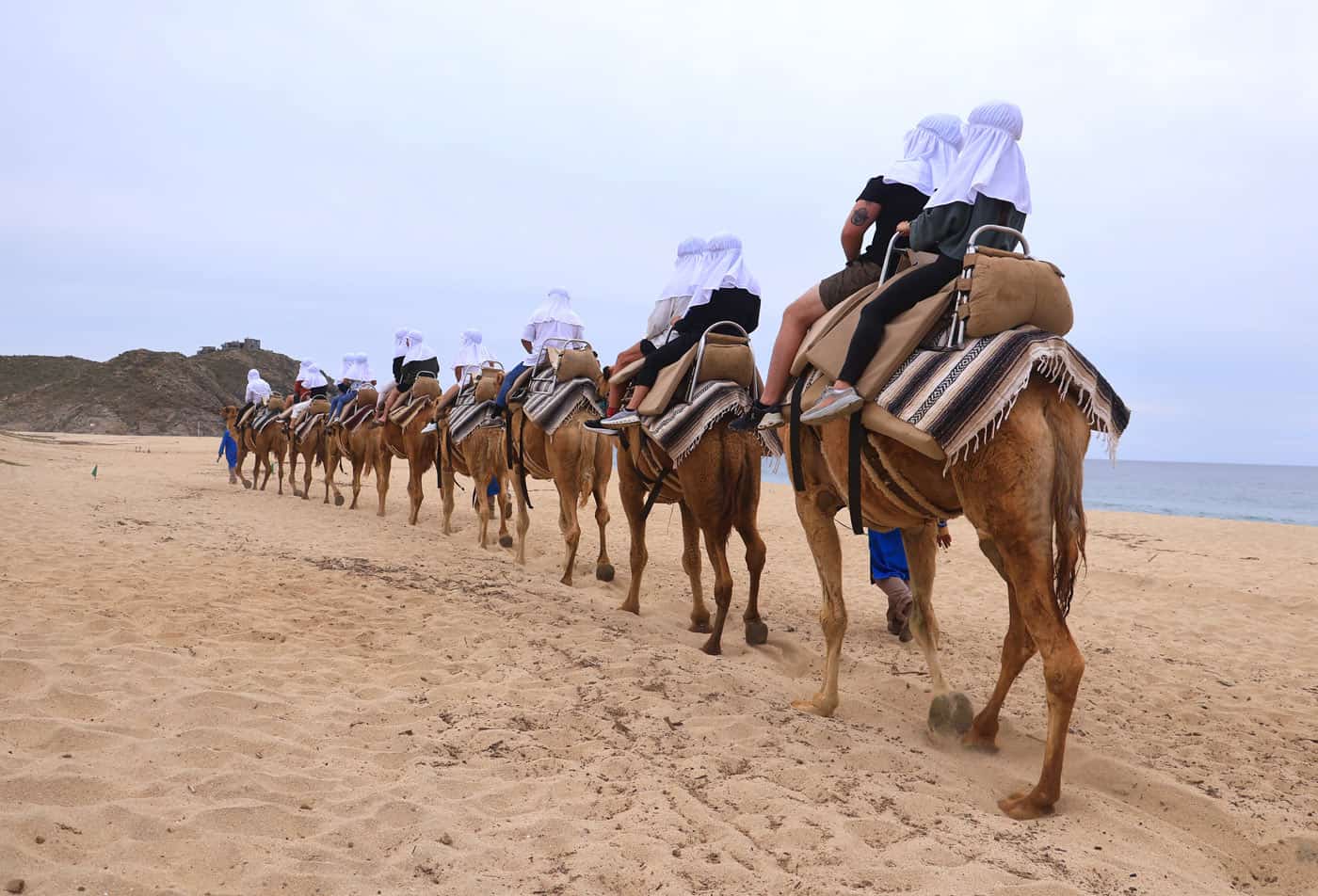 Visitors riding camels on the beach in Cabo