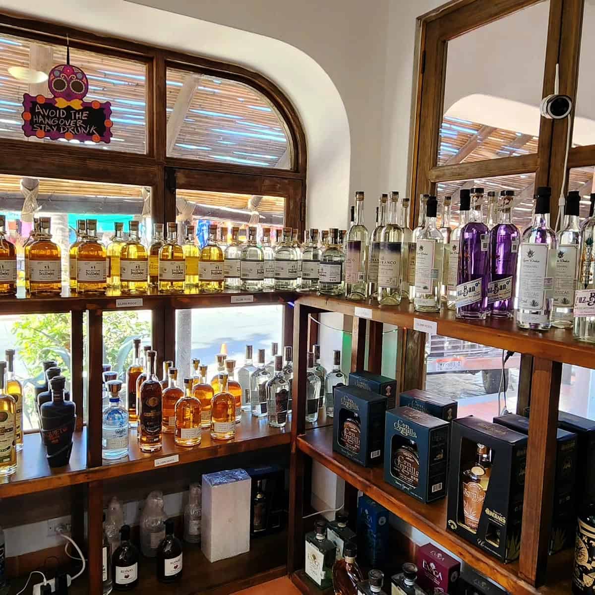 Shelves lined with tequila and mezcal bottles at Santos Destilados in Cabo San Lucas