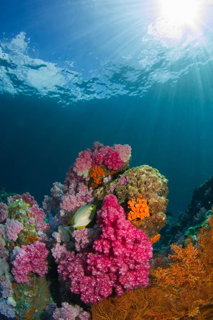 Scuba diving is popular in the waters around Koh Lanta, Thailand.