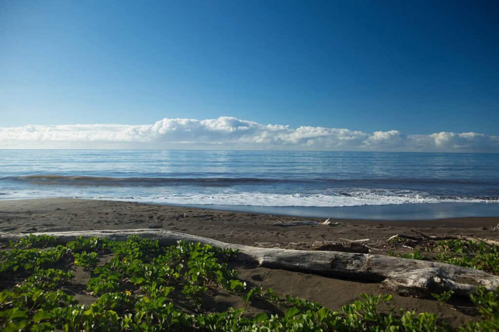 You find black sand beaches on the west coast of Kauai.