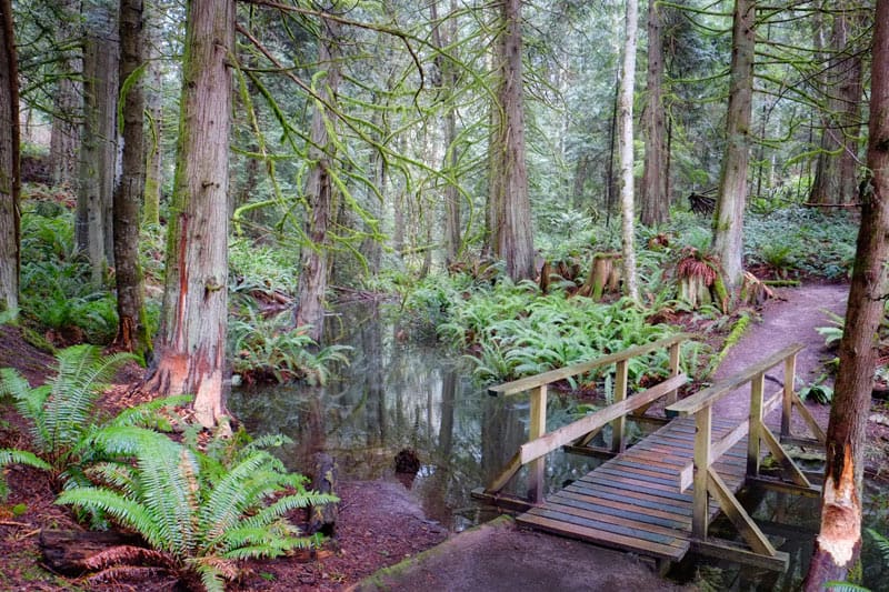 Hiking on Salt Spring Island