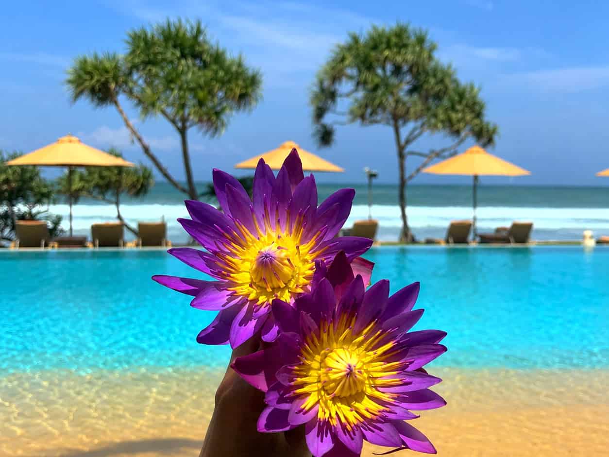 Best luxury hotels in Sri Lanka
