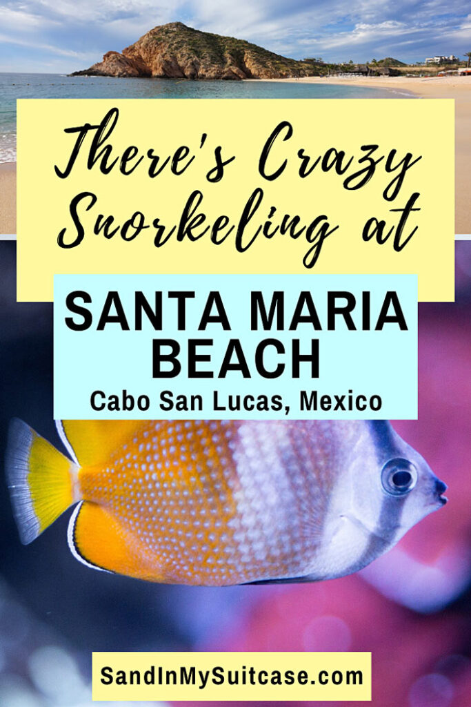 There's crazy awesome snorkeling at Santa Maria Beach in Cabo San Lucas, Mexico!