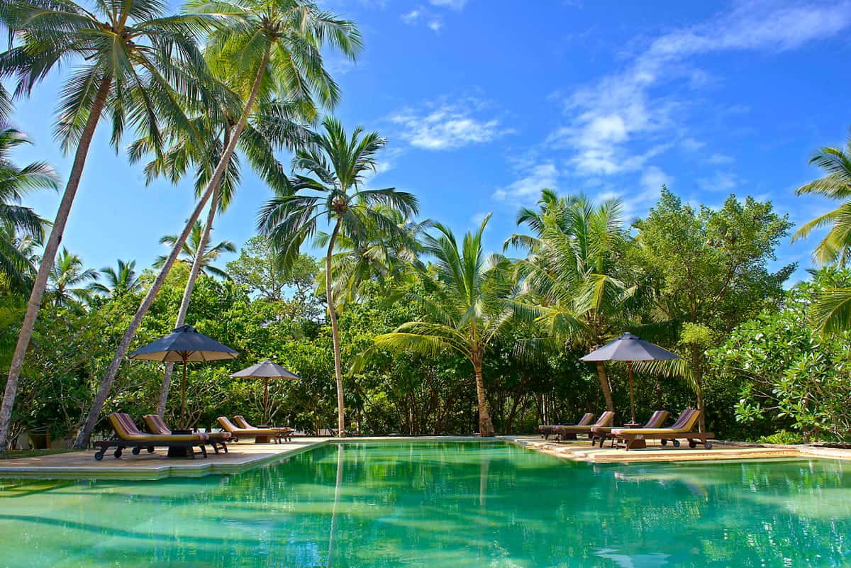 Beautiful emerald pool surrounded by cushioned lounge chairs, umbrellas and tall palm trees