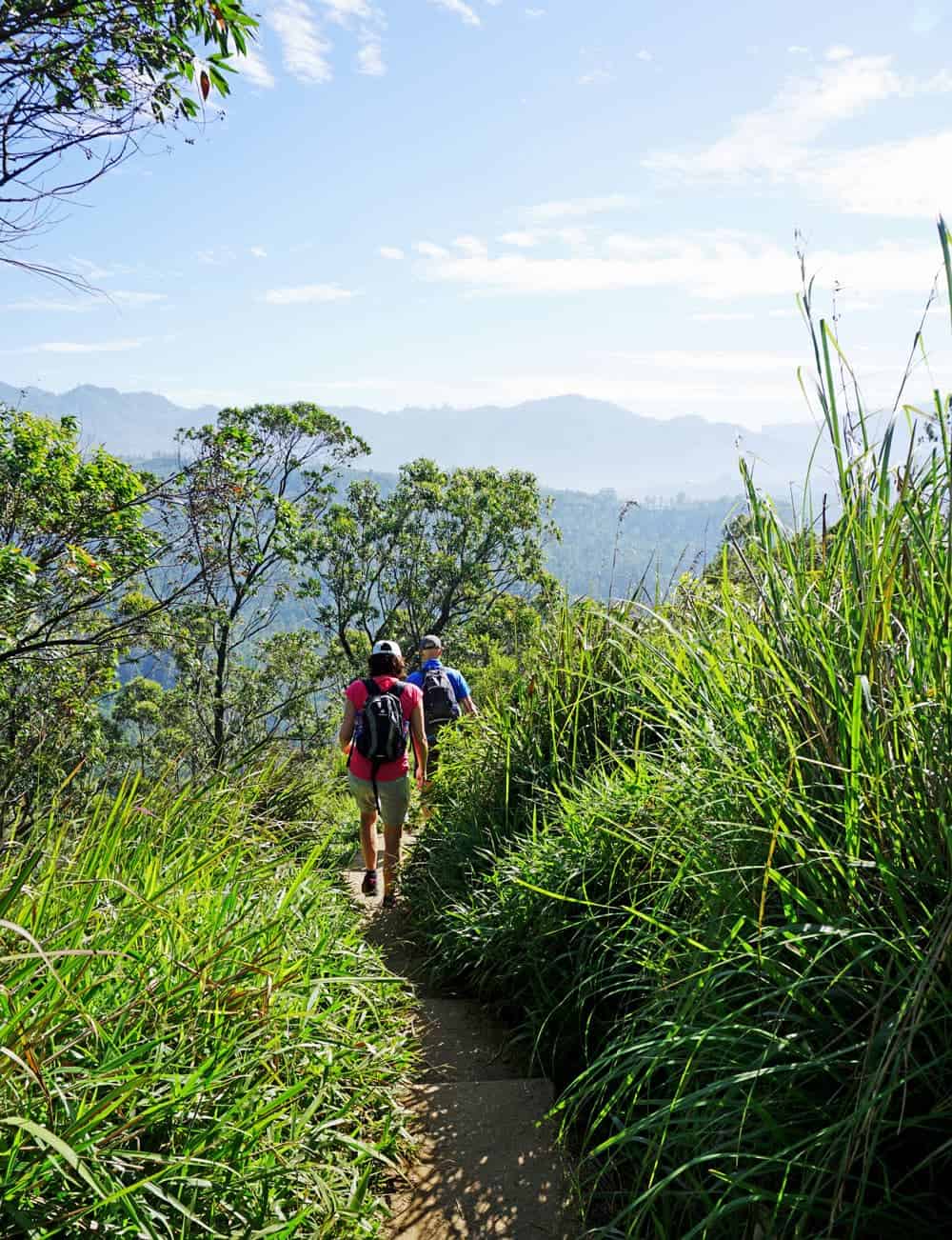Woman in red T-shirt and man hike on a narrow path through thick green bushes and grasses in Sri Lanka.