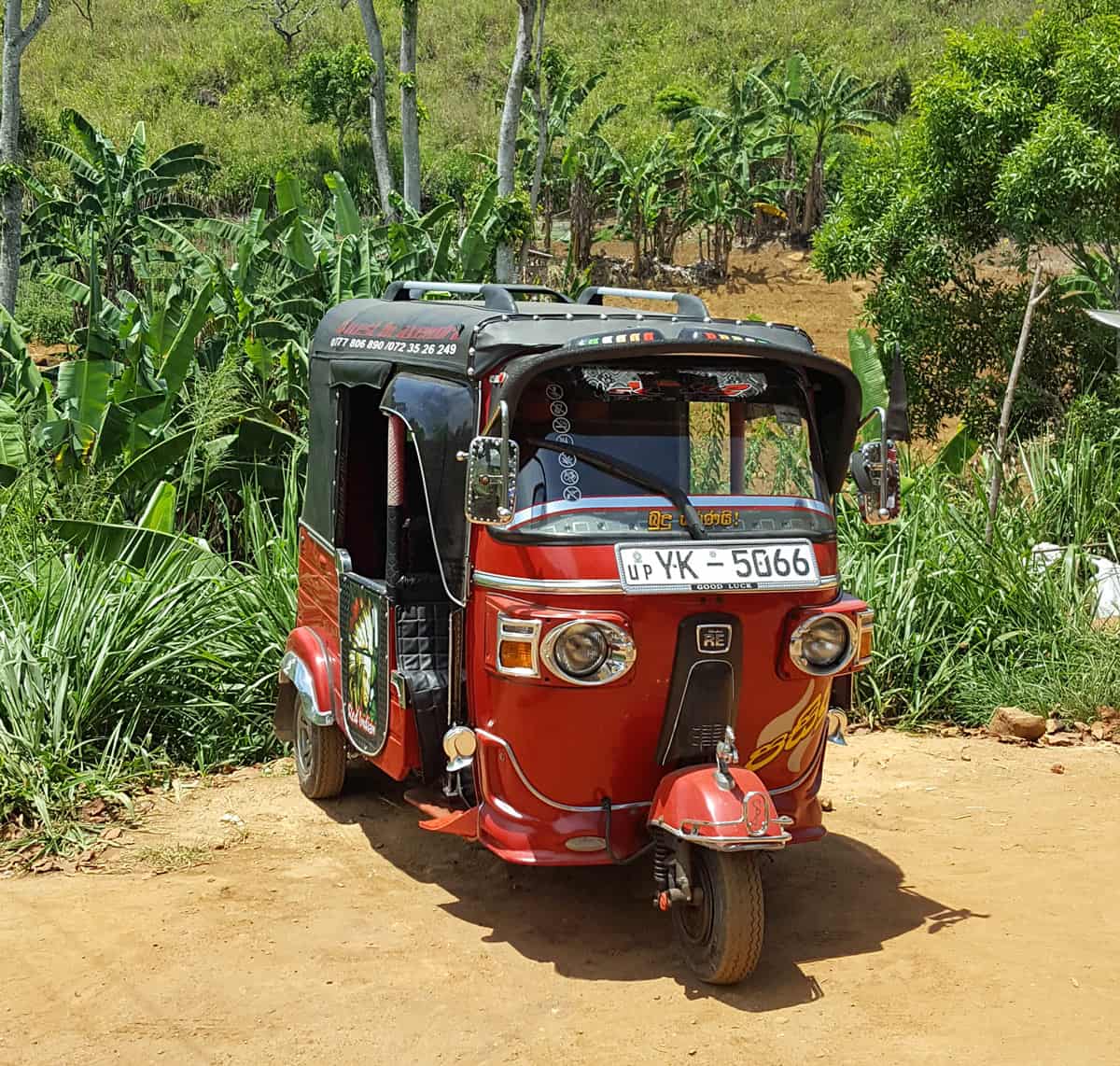 A red tuk-tuk in Sri Lanka parked against a backdrop of grasses and greenery