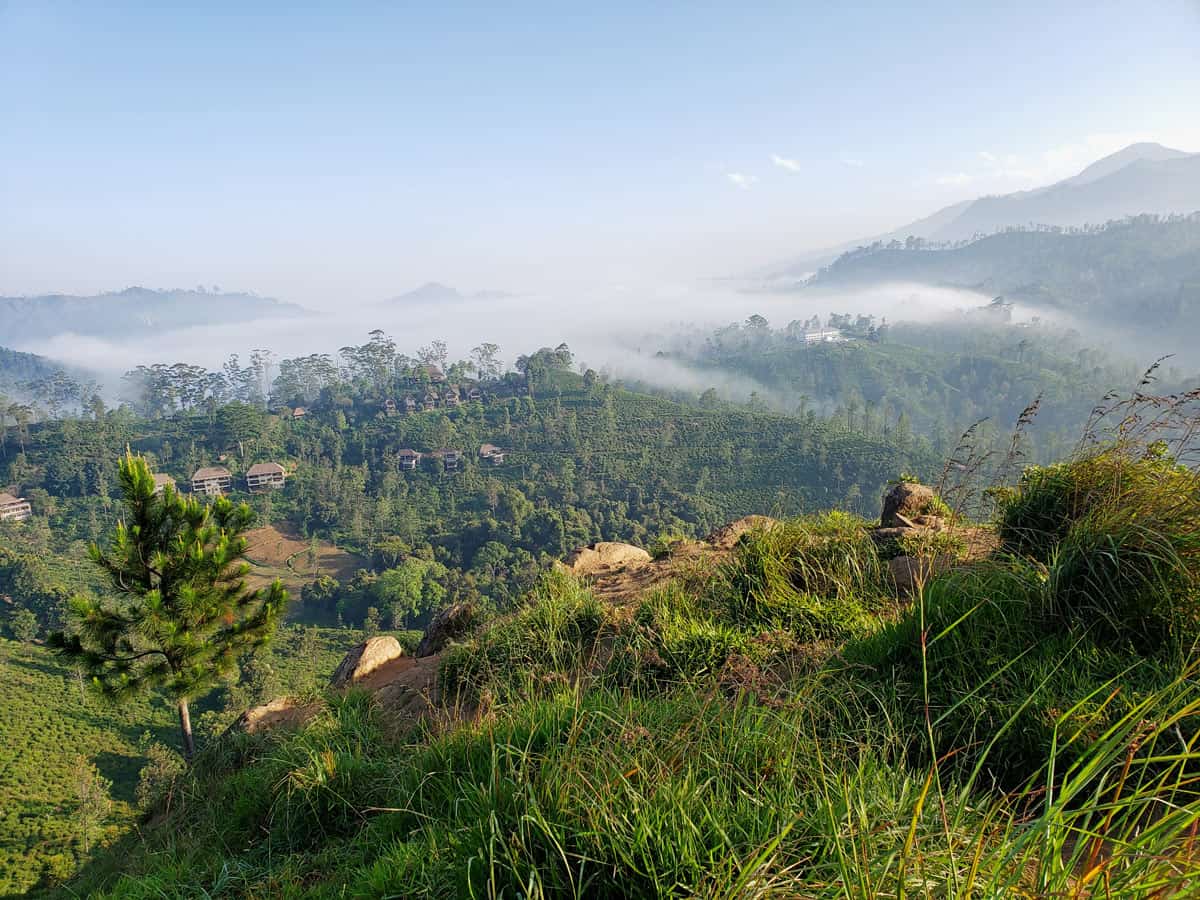 View of bungalows of 98 Acres Resort from high up on the Little Adam's Peak trail