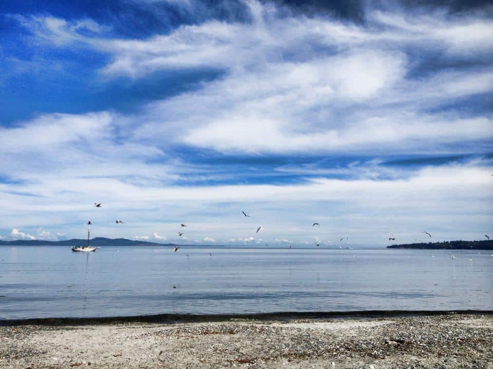 7 Best Beaches In Victoria, BC For Summer Swimming | Sand In My Suitcase